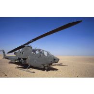 Hélicoptère de combat américain Bell-209 Huey Cobra dans le désert en ZDO (zone de déploiement opérationnel) Olive.