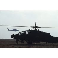 En ZDO (zone de déploiement opérationnel) Olive, deux hélicoptères de combat américains Hughes-AH 64 Apache de retour de mission se posent dans le désert.