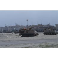 Blindés transport de troupes M-113 égyptiens positionnés à la sortie Koweit City.