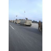 Un convoi de transports de troupes koweitiens M-113 remontent vers la frontière irakienne depuis Koweit City après la libération de la ville.