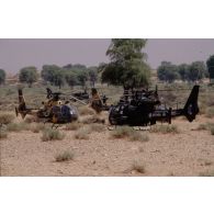 Hélicoptères de combat Gazelle français et émiratis au sol aux EAU (Emirats arabes unis).