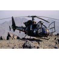 Hélicoptère de combat Gazelle français posé aux EAU (Emirats arabes unis).