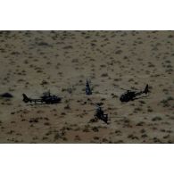 Quatre hélicoptères de combat Gazelle français au sol aux EAU (Emirats arabes unis).