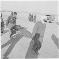 Algérie. Les blessés sont transportés sur des brancards.