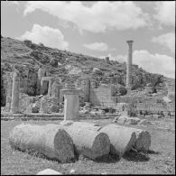 Les ruines de Khemissa.