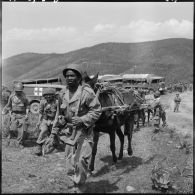 Une compagnie du 15ème régiment de tirailleurs sénégalais (RTS) part avec ses mulets chargés de canons sans recul pour se mettre en place dans le bouclage.