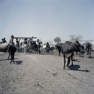 Population civile et soldats français autour d'un puits dans le village tchadien de Gambir.