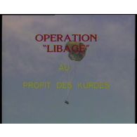 Opération Libage au profit des Kurdes (1991).