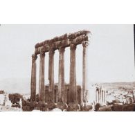 [Site syrien de Palmyre, juin 1923 - mars 1924.]