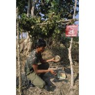 Un militaire cambodgien désamorce une mine PMN2 (URSS) dans la région de Svay Chek.