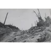 667. Chemin creux du bois de Hem. 26 [août 1916]. 13 h 1/2. [légende d'origine]