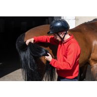 Un élève nettoie la queue de son cheval pour un cours d'équitation au Prytanée National Militaire de La Flèche.