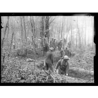 Roderen, Alsace, tirailleurs sénégalais creusant une tranchée dans le bois. [légende d'origine]