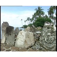Végétation et paysages de l'île de Taha'a.