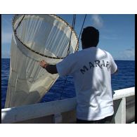 Mission de prélèvements de plancton réalisée au large de l'atoll de Moruroa (Mururoa) à bord du chalutier Marara du service mixte de surveillance radiologique et biologique du Pacifique (SMSRB).