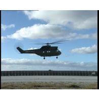 Phases de décollage et d'atterrissage d'un hélicoptère de transport Puma SA 330 sur une piste de Moruroa (Mururoa).