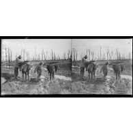 Près de Bikshote (Belgique). Près du Bois 16. Télégraphistes transportant leur matériel à dos d'âne. [légende d'origine]