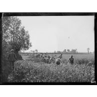Oudezeele, soldats anglais creusant des tranchées de repli. 1-6-18 [légende d'origine]