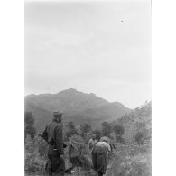 Des goumiers d'un goum du 2e groupe de tabors marocains (2e GTM) camouflent les toiles de tente de leur bivouac à l'aide de broussailles. A l'arrière-plan, le col de Teghime.