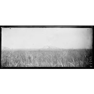 Le zeppelin L85 qui a été abattu dans la nuit du 5 mai 1916 à 2h30 du matin, dans les marais, à l'embouchure du Vardar. Photo prise le 5 mai à 8 heures du matin. [légende d'origine]