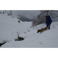 Un maître-chien du PGHM (peloton de gendarmerie de haute montagne) lors d'un exercice de recherche après avalanche à Pierrefitte-Nestalas : début des recherches.