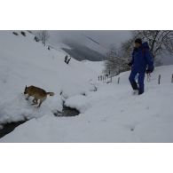 Un maître-chien du PGHM (peloton de gendarmerie de haute montagne) débutent les recherches lors d'un exercice de recherche après avalanche à Pierrefitte-Nestalas.