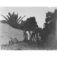 865. [Tunisie, 1902-1903. Militaire dans une palmeraie.]