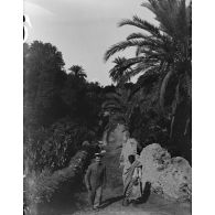 867. [Tunisie, 1902-1903. Civils dans une palmeraie.]