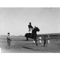 881. [Tunisie, 1902-1903. Saut d'obstacle à cheval.]