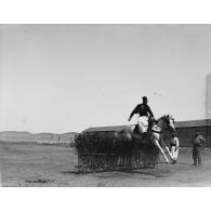 882. [Tunisie, 1902-1903. Saut d'obstacle à cheval.]