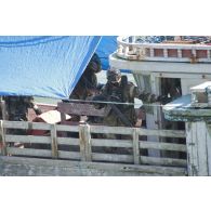 Des membres de l'équipe de visite de La Gracieuse inspectent le pont et la passerelle d'une tapouille brésilienne prise en flagrant délit de pêche illégale en Guyane française.