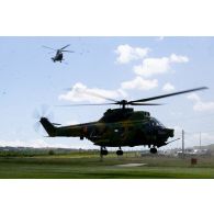 Atterrissage de deux hélicoptères Puma IAR-330 de l'armée de l'air roumaine sur la base de Cincu, en Roumanie.
