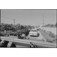 Le convoi allant de Tyr (Sour) vers Beyrouth croise un troupeau de moutons.