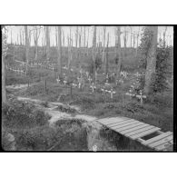 Près de Biaches (Somme). Tombes de français dans un bois haché par le canon. [légende d'origine]