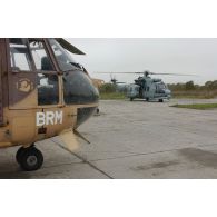Caracal de l'armée de l'Air et Puma SA-330 de l'armée de Terre au sol lors d'une démonstration dynamique à Mourmelon.