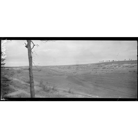 Ravin de Marson (Marne) , vue panoramique. [légende d'origine]