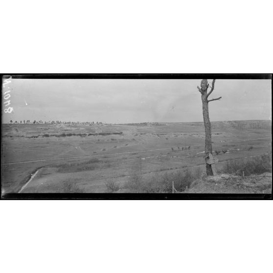 Ravin de Marson (Marne). Vue panoramique. [légende d'origine]