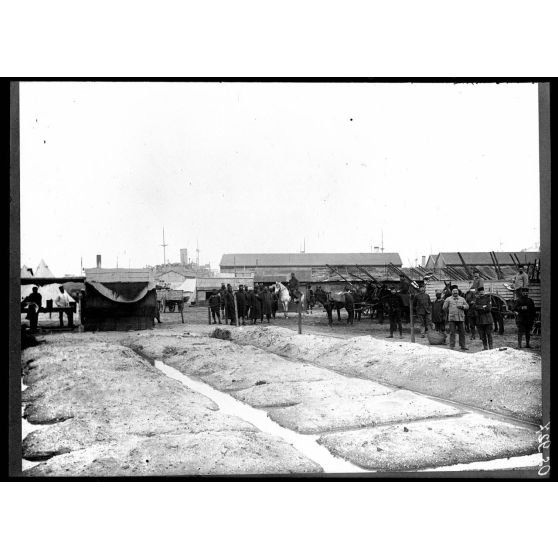 Port-Saïd. La base française. le parc d'artillerie. [légende d'origine]