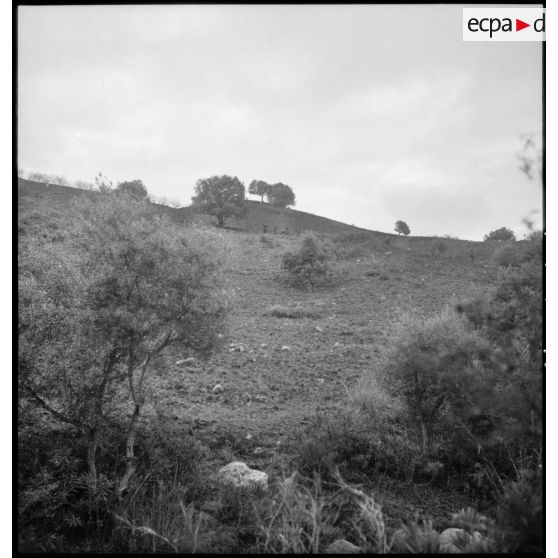 Progression (vue lointaine) de quatre personnes dans la montagne, lors d'une opération en Kabylie.