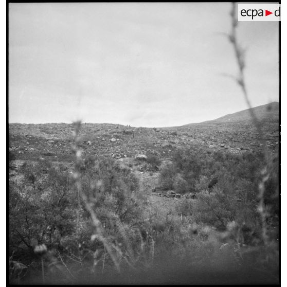 Paysage de montagne en Kabylie.