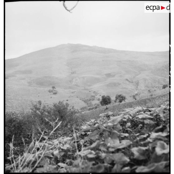 Paysage de montagne en Kabylie.