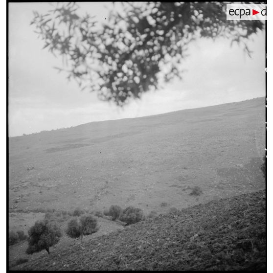 Paysage de montagne en Kabylie.