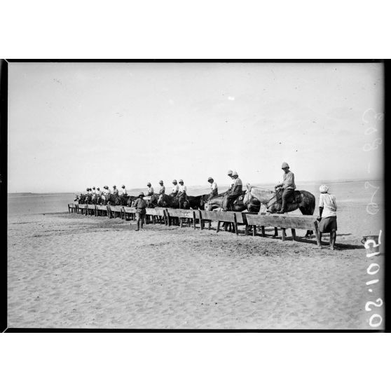 Près  d'Ismaïlia. Camp de Ferry-Post. Chasseurs d'Afrique, l'abreuvoir. [légende d'origine]