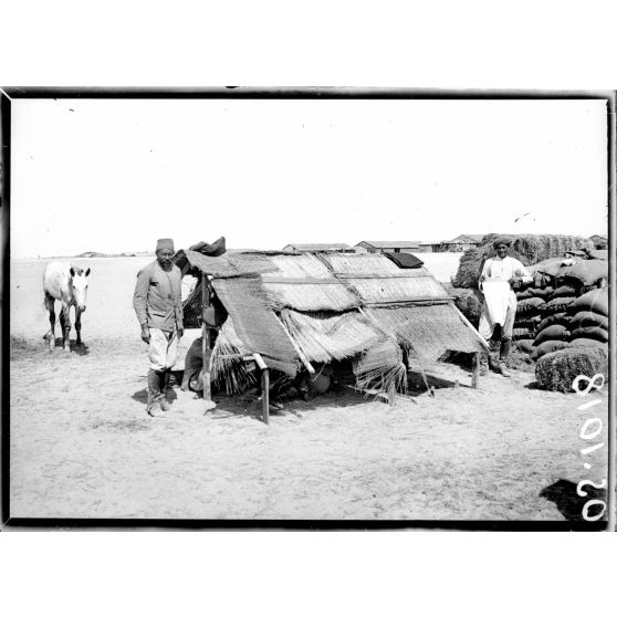 Près  d'Ismaïlia. Camp de Ferry-Post. Abri d'artileurs. [légende d'origine]