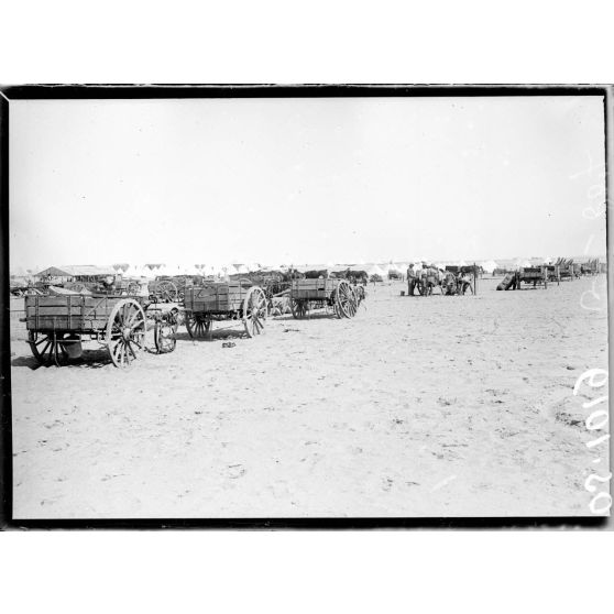 Près  d'Ismaïlia. Camp de Ferry-Post. Parc d'artillerie ; voitures à munitions. [légende d'origine]