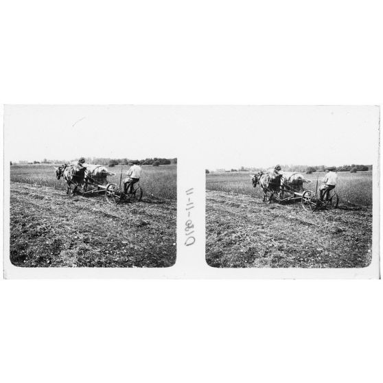 [Matériel agricole tracté par des chevaux (autre vue sans le faucheur)].