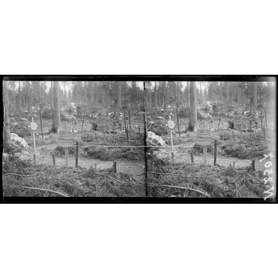 Région de Capitello. Un cimetière autrichien. [légende d'origine]