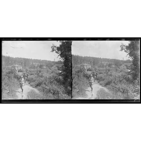 Près de La Harazée (Marne). Chemin menant à La Harazée. [légende d'origine]