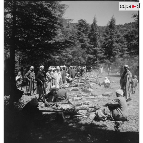 Des hommes préparent des méchouis dans la montagne.