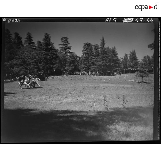 Divertissement équestre de cavaliers lancés au galop, dans la montagne.